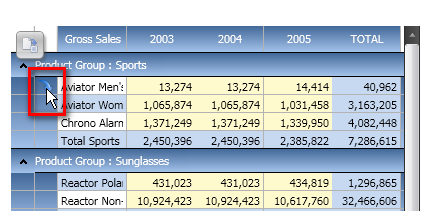 DrillDown_Web_DataView.PNG